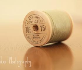 Cotton - 14x11 Fine art photograph