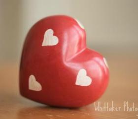 One Love, One Heart 12x12 Fine art photograph