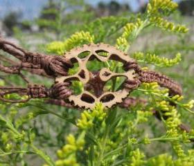Macrame hemp necklace with black walnut pendant