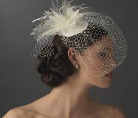 Bridal Bird Cage Veil