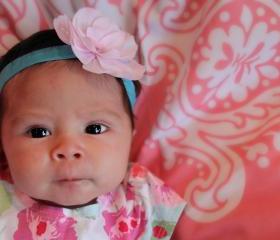 Light Pink Flower Headband