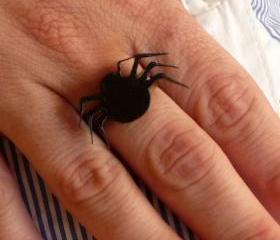 Halloween Jewelry, Spider Ring,Lasercut Acrylic