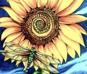 the sunflower art print