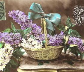 Digital download 300 dpi bowl of lilac French postcard image