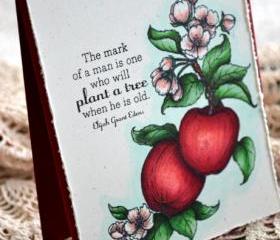 Hand-coloured Apple Greeting Card