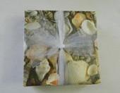 Seashell Print Tile Coasters