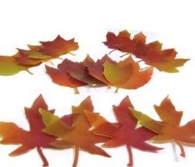 Designer Fall Leaf Soap Single Use Set of 16