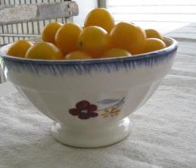  French Digoin Cafe au Lait Bowl