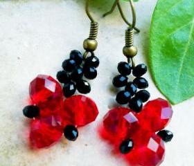 Beadwork crystal earrings- choose yours color