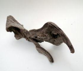 Driftwood for Display Animal Tanks Crafts