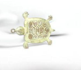 Brass Turtle, Turtle Charm, Turtle Pendant, Patina Turtle