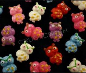  50pcs Little Cute Angry Owl Big Eyes Flat Back Cabochons F602