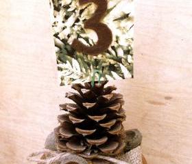 Wedding card table holders pine cones