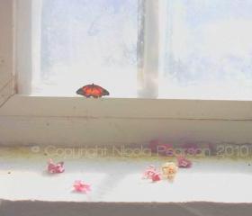 The Butterfly House Limited Edition 24x20 Mounted Print