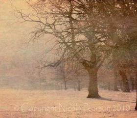 A Winters Tale 20x16 Limited Edition