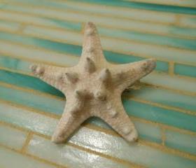 White Knobby Starfish Barrette - Beach Wedding - Starfish Hair Clip