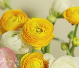 You are my flower - 10x10 fine art photograph