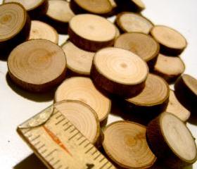 30 Wooden Tree Branch Slices all under an inch
