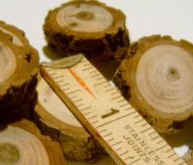 6 1 inchTree Branch Slices Small Wooden Disc Black Walnut