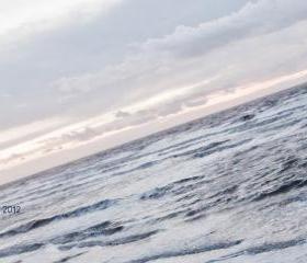 The Wave Perspective 