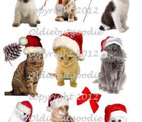 Jingle Cats Christmas 1