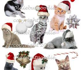 Jingle Cats Christmas 2