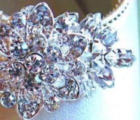 Wedding Accessories,Shoe Clips, Vintage Style,Crystal Shoe Clips, Flower Clips, Floral Ice Collection
