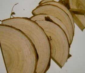 5 Wooden Half Rounds Tree Branch Half Circle Blanks