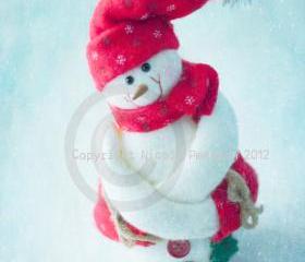 Mr SnowMan 