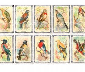 Birds Collage Sheet - Digital Scrapbook - Scrapbooking - Decoupage Download Images - Vintage - Printables - Blossom Paper Art - 1294