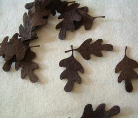 L102 -- 10 leaves on brown felt 2 inch