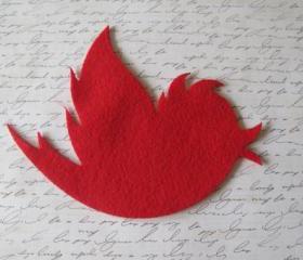 Twitte twitte ... lovely red bird