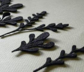 Seaweeds on black felt