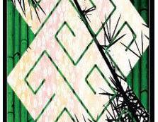 iphone 5 case iphone 5 cover - Bamboo- Abstract Print - Geometric - Abstract