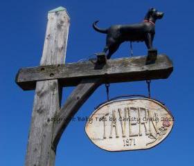 Black Dog Tavern - Martha's Vineyard, MA