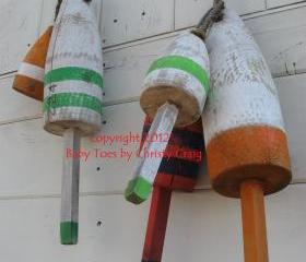 Lobster Buoys