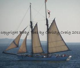 Vineyard Schooner