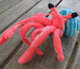 Hermit Crab