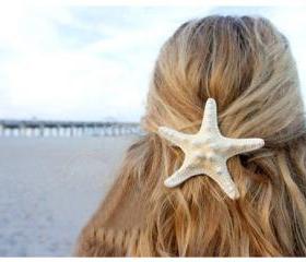 Starfish Hair Clip