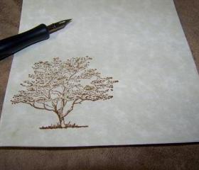 Old Oak Tree - Vintage Inspired - Parchment Stationery Set - 50 Sheets 25 Envelopes