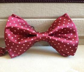 Bow Tie