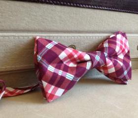 Bow Tie