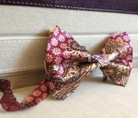 Bow Tie