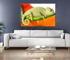 24x17 Digital printed Canvas colorful chameleon to your wall (size: 24x17 inch plus border).