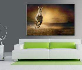 16x10 Digital printed Canvas vintage wild horse to your wall, old white mare, wild mustang (size: 16x10 inch plus border).