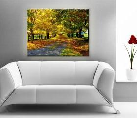 15x11 Digital printed Canvas autumn wood to your wall, nature colorful autumn trees photo (size: 15x11 inch plus border).