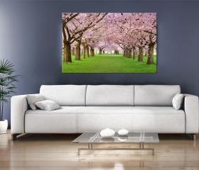 15x11 Digital printed Canvas flowering trees to your wall Flowering Japanese trees (size: 15x11 inch plus border).