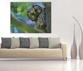 15x11 Digital print Canvas sentinel owl to your wall owl on the tree (size: 15x11 inch plus border).