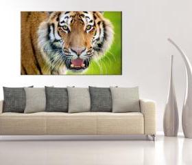 16x10 Digital print modern Canvas wild tiger to your wall, (size: 16x10 inch plus border).