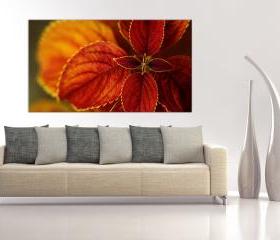 16x10 Digital printed Canvas red flower to your wall, red-claret botanical flower (size: 16x10 inch plus border).
